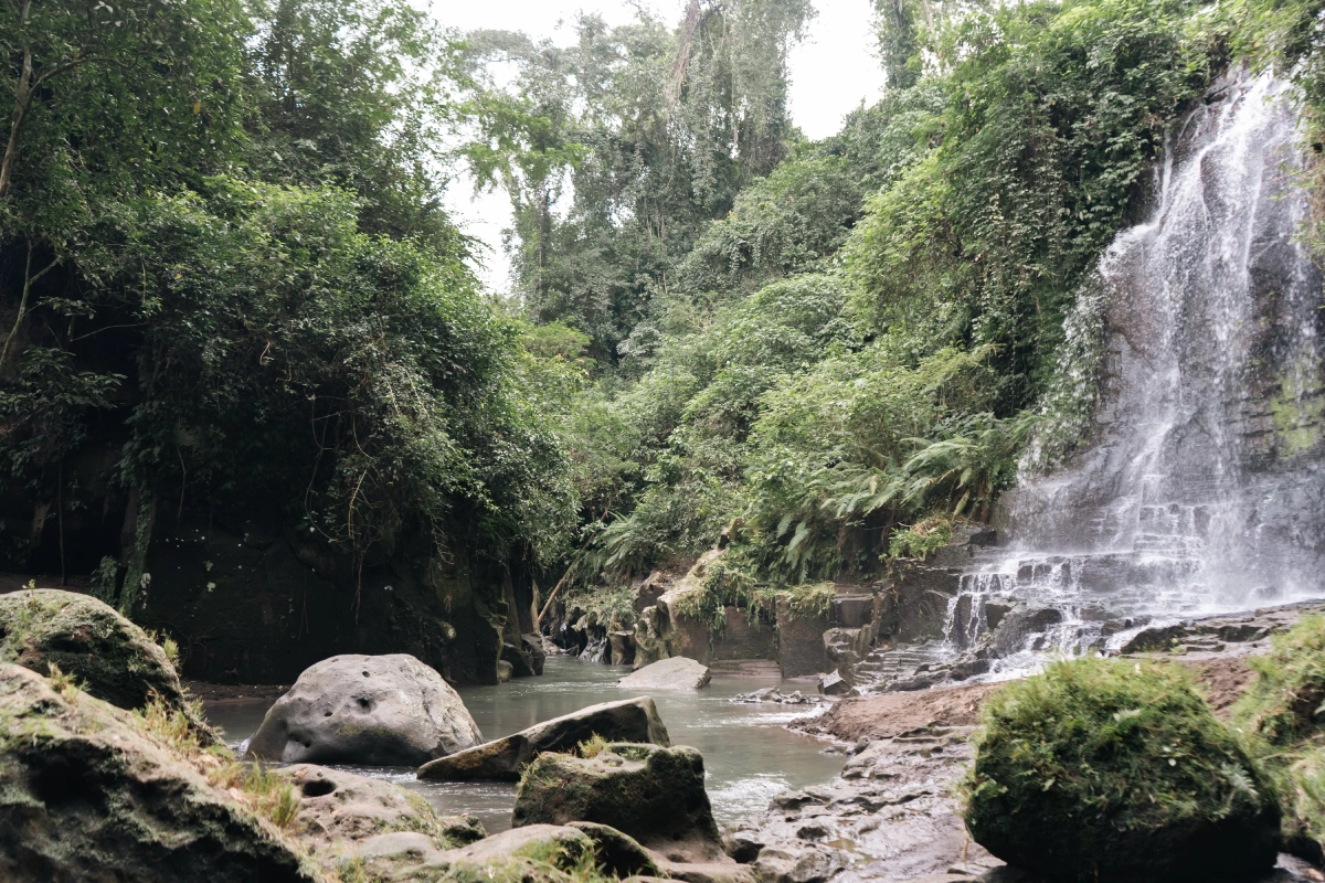 The Hidden Falls of Gianyar